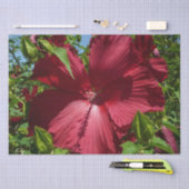 Hibiscus Bloem en Blue Sky Tissuepapier (Craft)