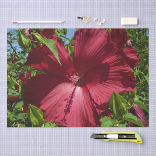 Hibiscus Bloem en Blue Sky Tissuepapier (Craft)