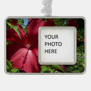 Hibiscus Bloem en Blue Sky Verzilverd Omlijst Ornament