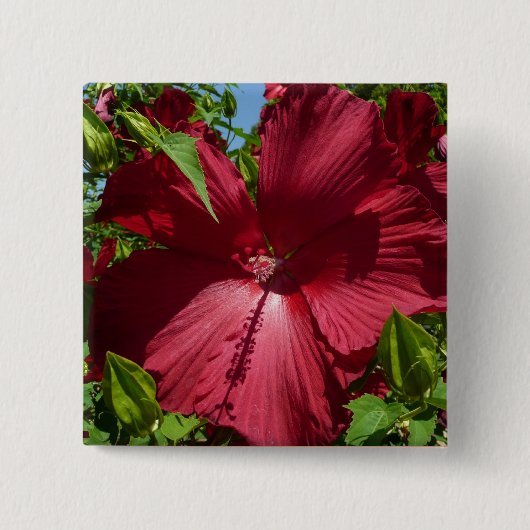 Hibiscus Bloem en Blue Sky Vierkante Button 5,1 Cm (Voorkant)