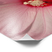 Hibiscus Bloem Foto Kodak Professional Print Afdruk (Hoek)