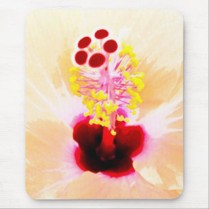 Hibiscus Bloem Foto Muismat
