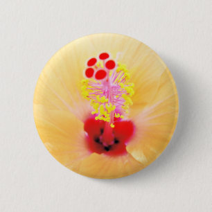 Hibiscus Bloem Foto Ronde Button 5,7 Cm
