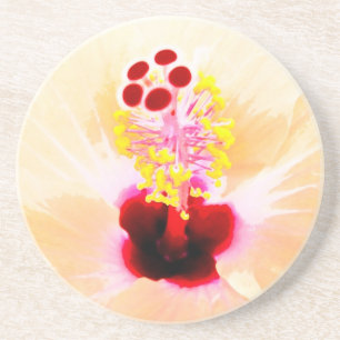 Hibiscus Bloem Foto Zandsteen Onderzetter