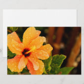 Hibiscus Bloem Fotografie Briefpapier (Voorkant / Achterkant)