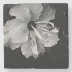 Hibiscus Bloem Fotografie Stenen Onderzetter
