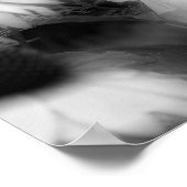 Hibiscus bloem hoog contrast zwart en wit poster (Hoek)