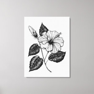 Hibiscus bloem II Canvas Afdruk