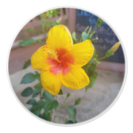 Hibiscus Bloem Ladehandvat - Originele Fotografie Keramische Knop
