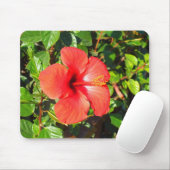 Hibiscus bloem muismat (Met muis)