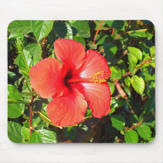 Hibiscus bloem muismat (Voorkant)