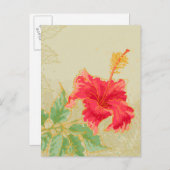 Hibiscus-bloem op getonde achtergrond briefkaart (Voorkant / Achterkant)