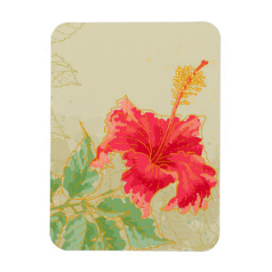 Hibiscus-bloem op getonde achtergrond magneet