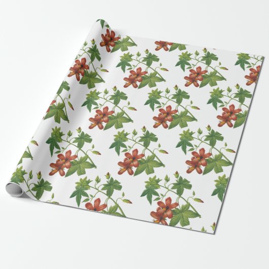 Hibiscus Bloem Patroon Cadeaupapier (Uitgerold)