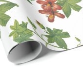 Hibiscus Bloem Patroon Cadeaupapier (Rol Hoek)