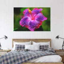 Hibiscus Bloem Stretch Canvas Print