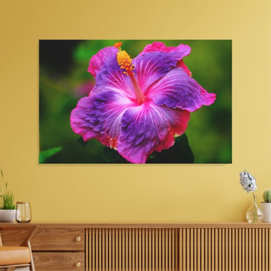Hibiscus Bloem Stretch Canvas Print (Insitu (Woonkamer))
