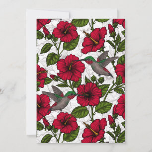 Hibiscus bloemen en kolibrie