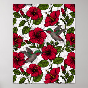 Hibiscus bloemen en kolibrie poster