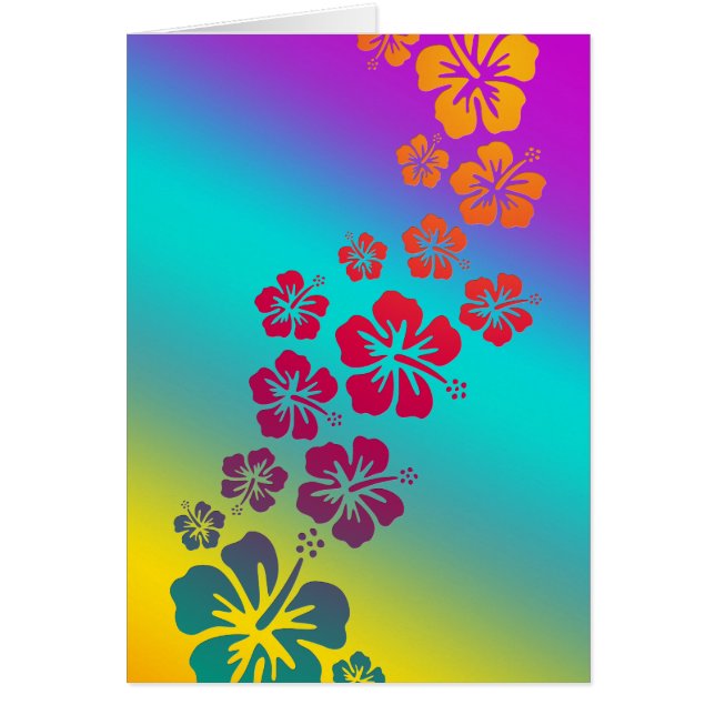 hibiscus bloemen | gekleurde achtergrond (Voorkant)