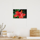 Hibiscus bloemen poster (Keuken)