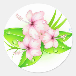 Hibiscus bloemen ronde sticker