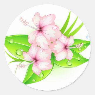 Hibiscus bloemen ronde sticker