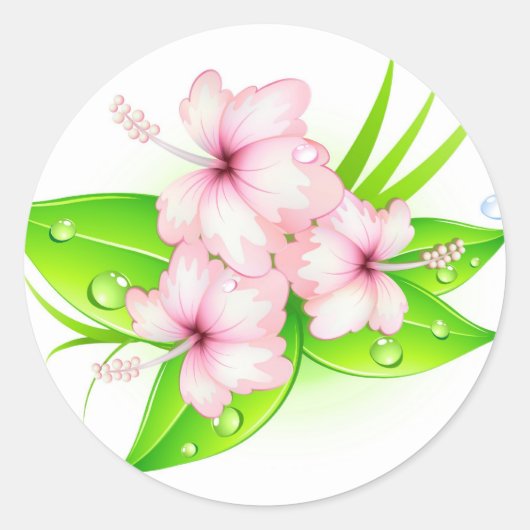 Hibiscus bloemen ronde sticker (Voorkant)