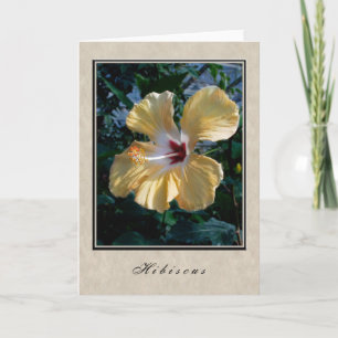 Hibiscus - Bloemen serie Kaart