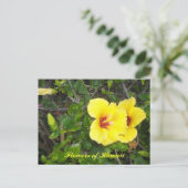 Hibiscus Bloemen van Hawaï Briefkaart (Staand voorkant)