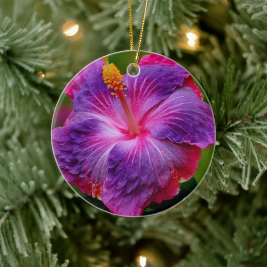 Hibiscus bloemenkeramisch Ornament (Boom)