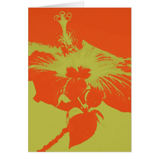 Hibiscus Bloom #8 (Voorkant)