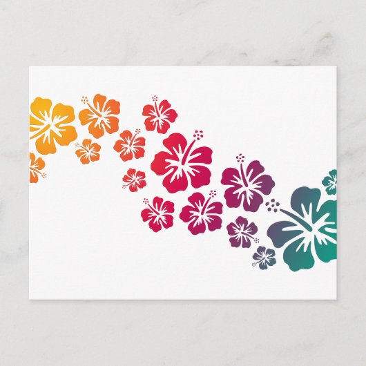 hibiscus blooms gekleurd briefkaart (Voorkant)