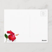 Hibiscus Blossom Briefkaart (Achterkant)