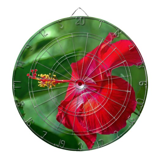 Hibiscus Blossom Dartbord (Voorkant)