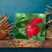 Hibiscus Blossom Fotoplaat (Zijkant)