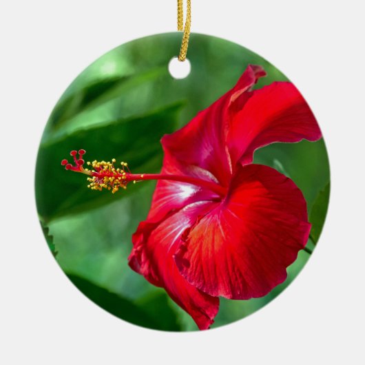 Hibiscus Blossom Keramisch Ornament (Voorkant)