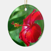 Hibiscus Blossom Keramisch Ornament (Links)