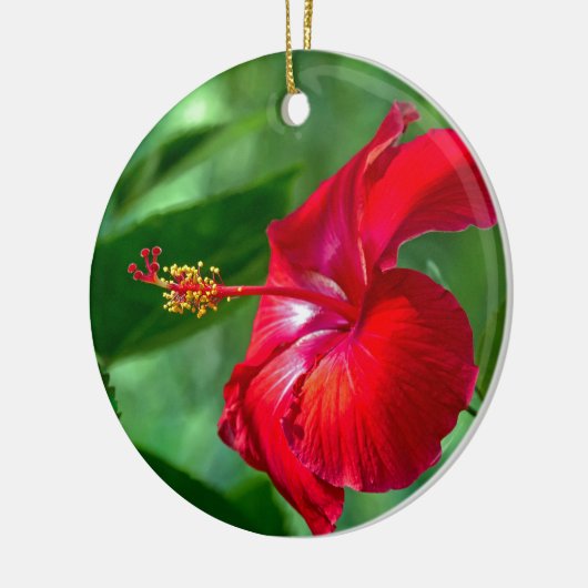 Hibiscus Blossom Keramisch Ornament (Links)