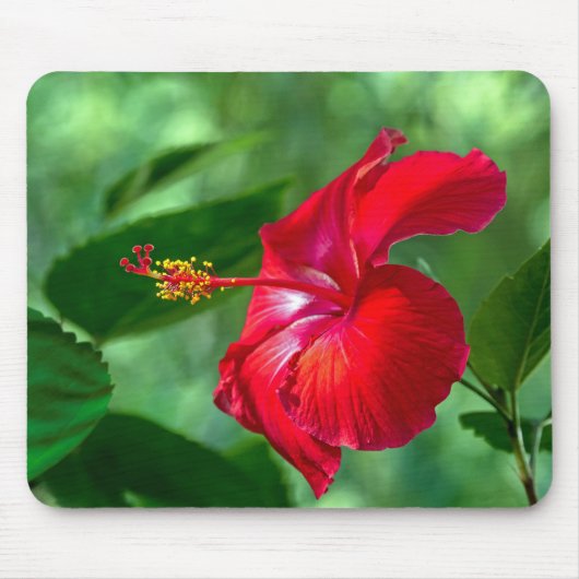 Hibiscus Blossom Muismat (Voorkant)