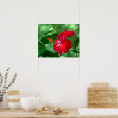 Hibiscus Blossom Poster (Keuken)