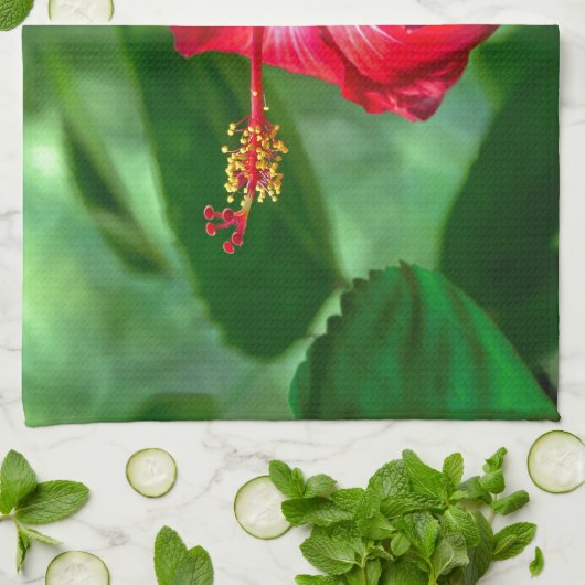 Hibiscus Blossom Theedoek (Gevouwen)