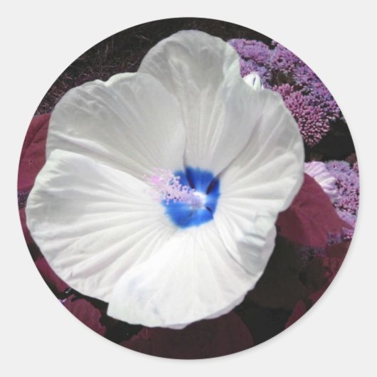 Hibiscus Blue Sticker-  Ronde Sticker (Voorkant)