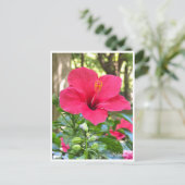 Hibiscus Briefkaart (Staand voorkant)