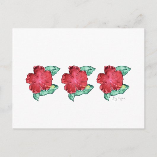 Hibiscus Briefkaart (Voorkant)
