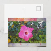 Hibiscus Briefkaart (Voorkant / Achterkant)