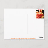 HIBISCUS BRIEFKAART (Achterkant)