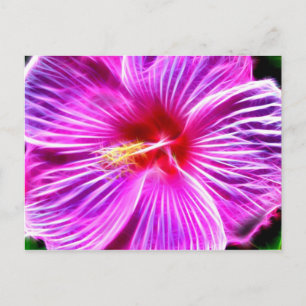 Hibiscus Briefkaart