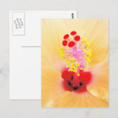 Hibiscus Briefkaart (Voorkant / Achterkant)