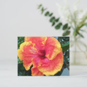 Hibiscus Briefkaart (Staand voorkant)